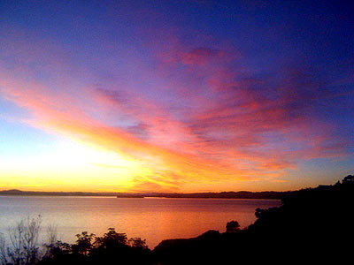 View from my study at Mellons Bay 10 July 2009 