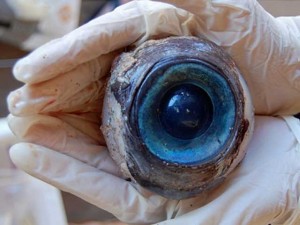 Competing for eyeballs — but not at all costs, surely? (pic: arbroath.blogspot.com - click)